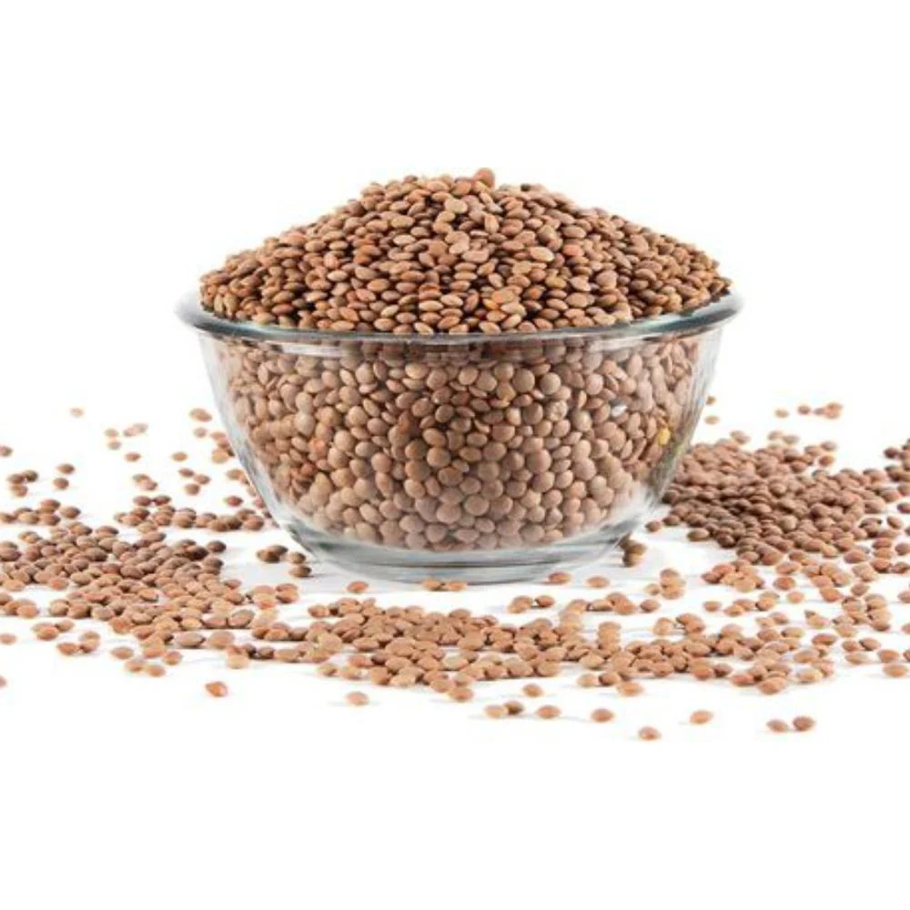 MASOOR SABIT BLACK 500 GM - Image 2