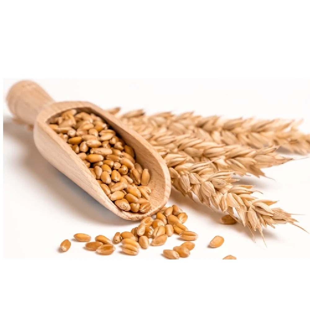 SPECIAL WHEAT 500 GM - Image 2